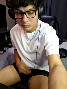 Ais_B10 webcam