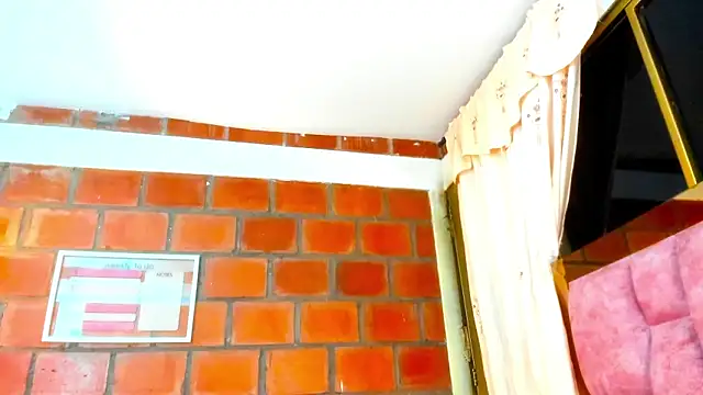 AkiraHeat webcam