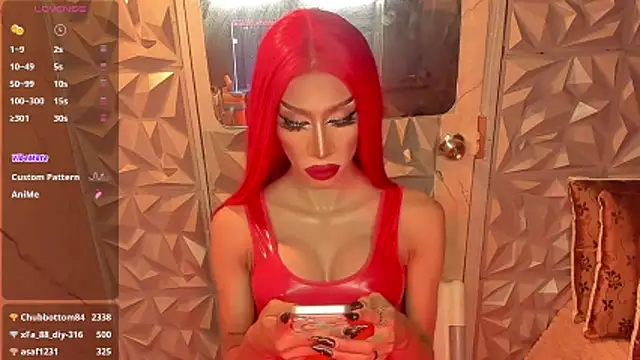 anitacruise webcam