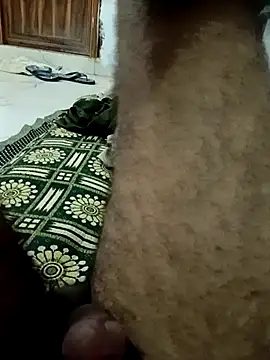 pintuS40 webcam