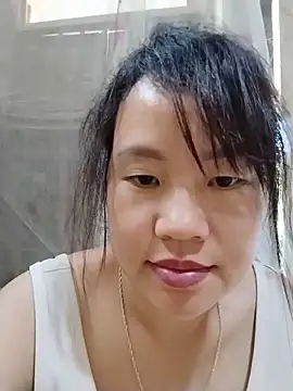 -Nara- webcam