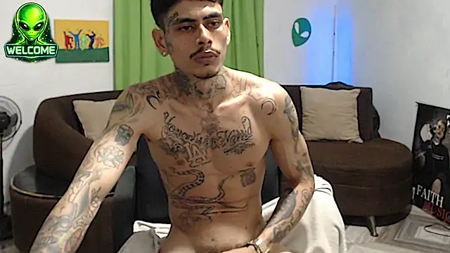 alpha_zom webcam
