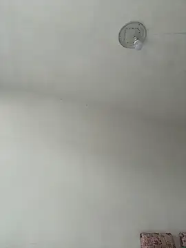 daaqnn webcam
