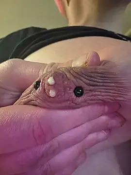PinkTheHawk webcam