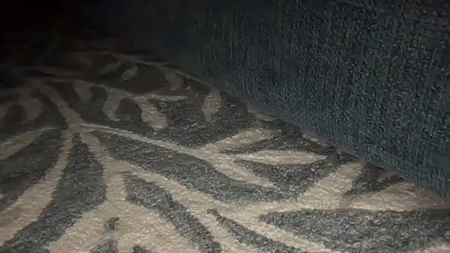 CuriousMarried321 webcam