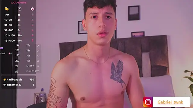 I_Gabriel webcam