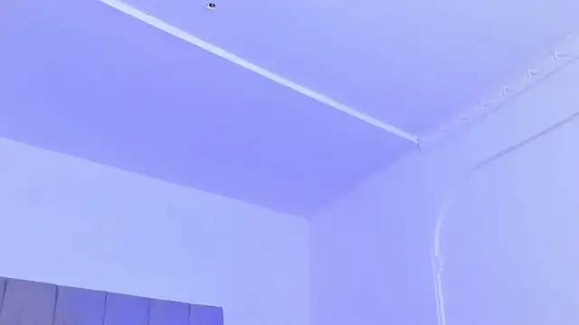 Adonys_Lewis_ webcam