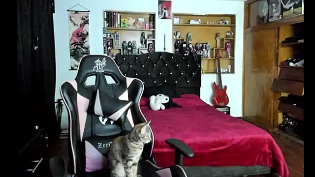 Maki_Zein_ webcam