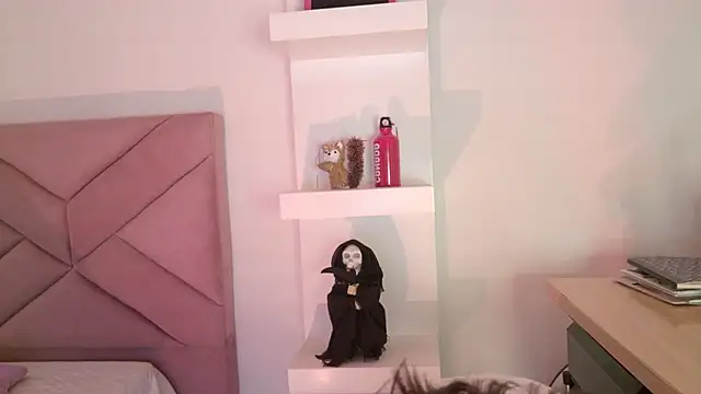 eva_sin18 webcam