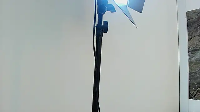 TONY_FOXX1 webcam