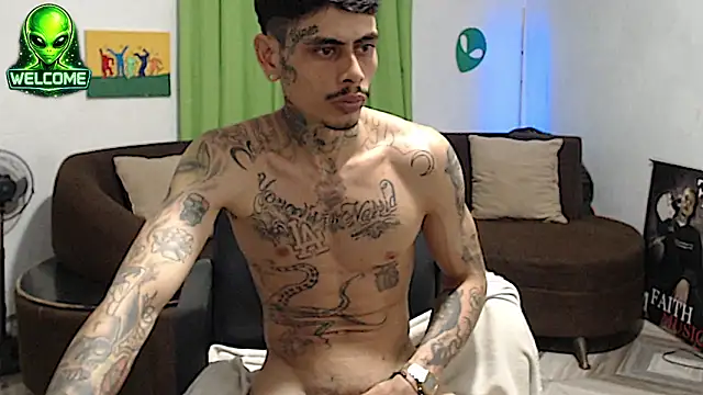 alpha_zom webcam