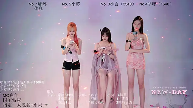 NEW-DAY webcam
