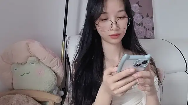Lili-2 webcam