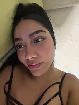Linarodri webcam