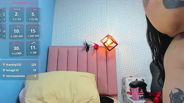 NORALOUX2 webcam