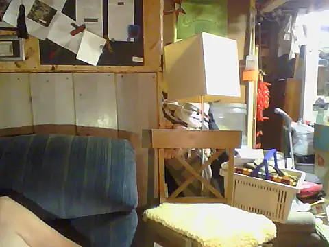 OldManOnline webcam