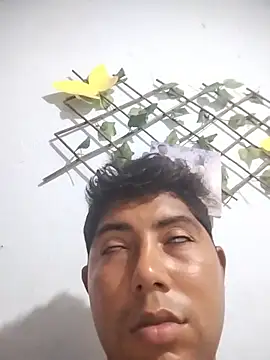 master_juju1924 webcam