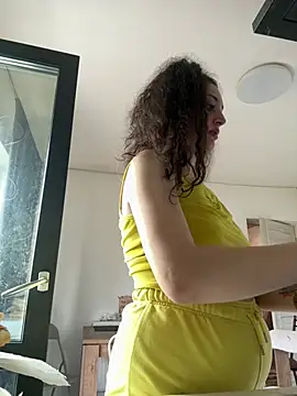 HrdAnal00 webcam