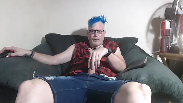 nerdy6 webcam