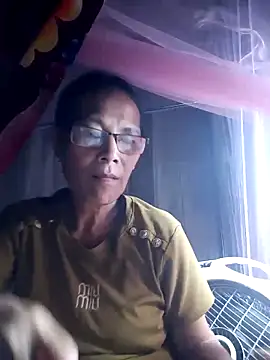 toyo_668 webcam