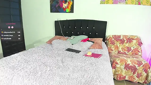 verodaza webcam