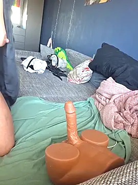 Hausverbot3 webcam