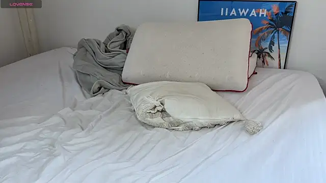 Friday_gay_dude webcam
