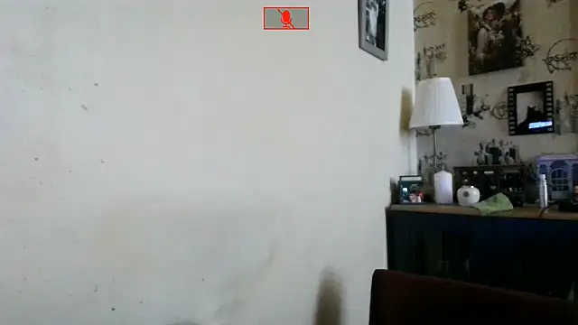 Hgay6935 webcam