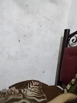 salimbasha webcam