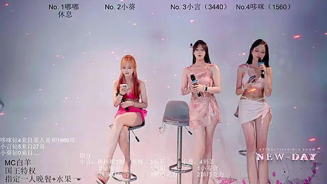 NEW-DAY webcam