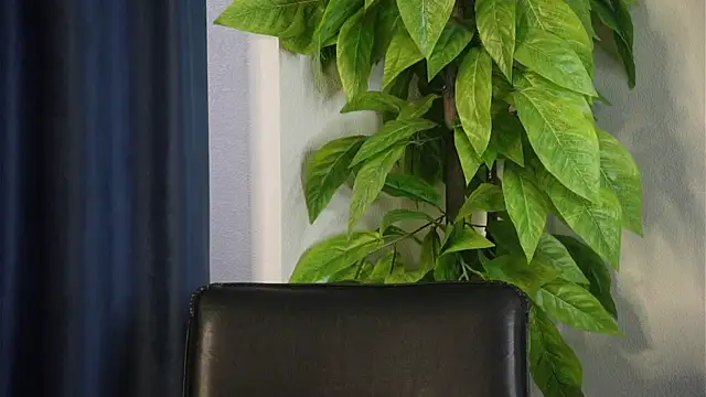 LurlineCoakley webcam