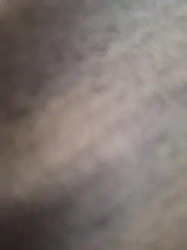 minnetird webcam