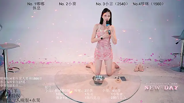 NEW-DAY webcam
