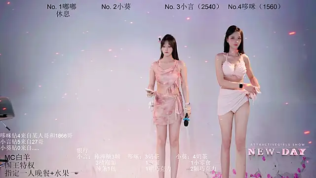 NEW-DAY webcam