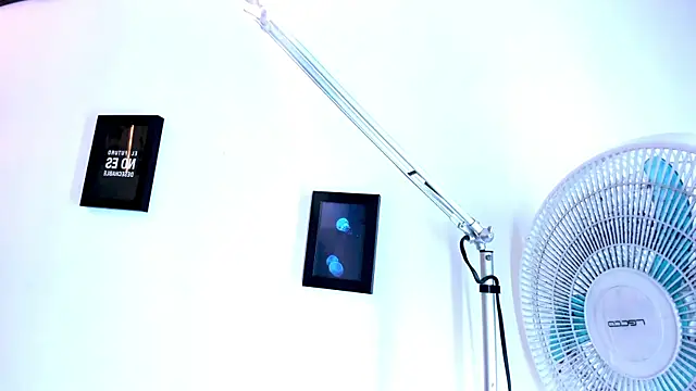 Pit_Ross webcam