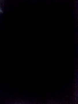 LSDsexslave webcam