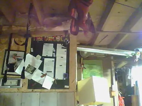 OldManOnline webcam