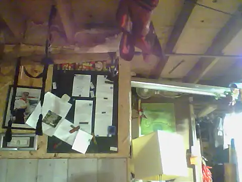 OldManOnline webcam