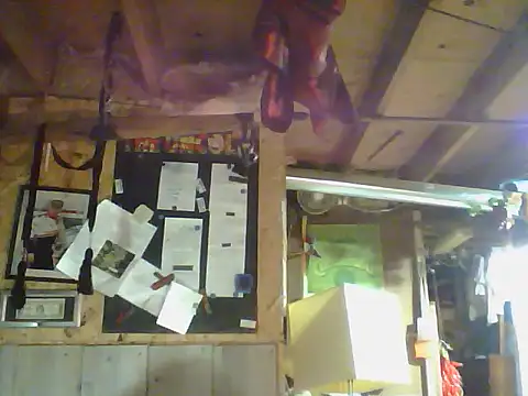 OldManOnline webcam