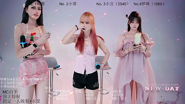 NEW-DAY webcam