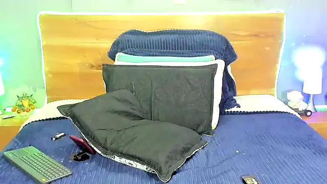 Prometeo-grizzly webcam