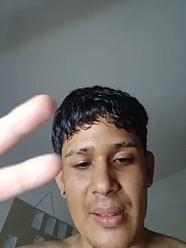 Lanvers webcam