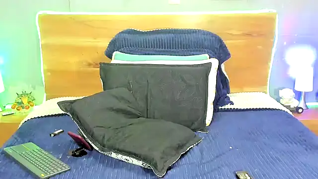 Prometeo-grizzly webcam