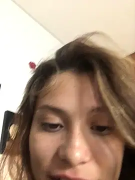 3littles webcam