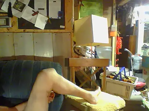 OldManOnline webcam