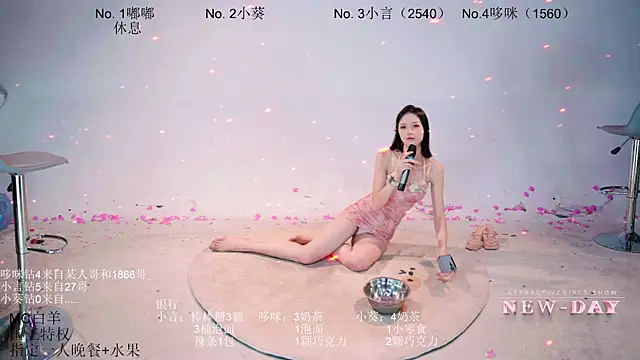 NEW-DAY webcam