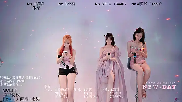 NEW-DAY webcam