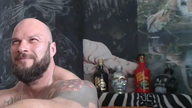 viking_30 webcam