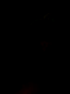 S7LEALTADPERVLIMA7 webcam