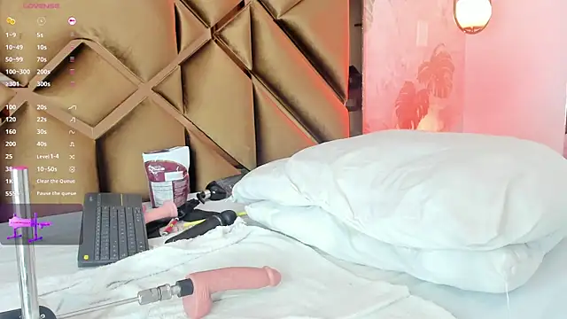 Alexa-Lynx webcam